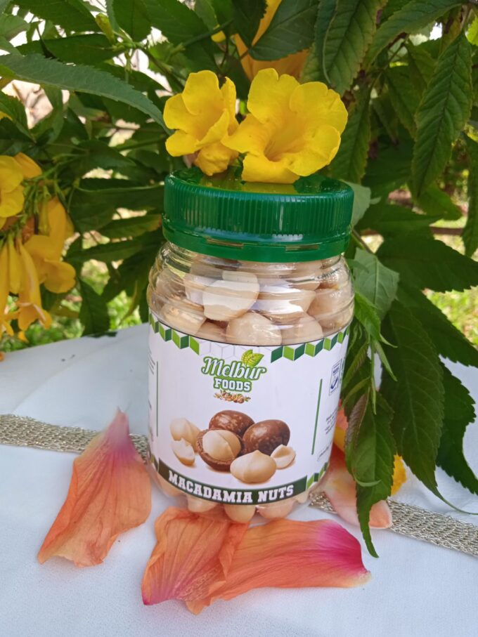 Macadamia Nuts