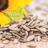 Sunflower Seeds